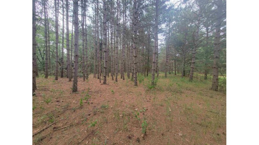 LOT 113 Beaver Lane Monroe, WI 54613 by Coldwell Banker Advantage Llc - Off: 715-325-7335 $49,900