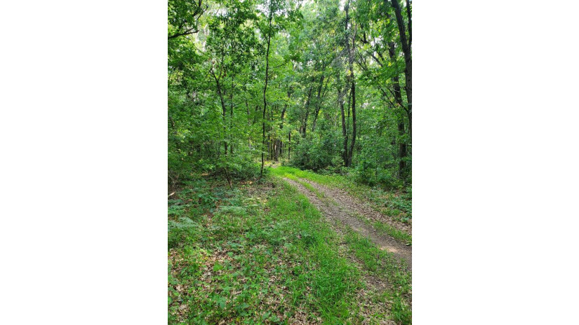 66.62 AC Highway 12/16 Wisconsin Dells, WI 53965 by First Weber Inc - HomeInfo@firstweber.com $1,865,360