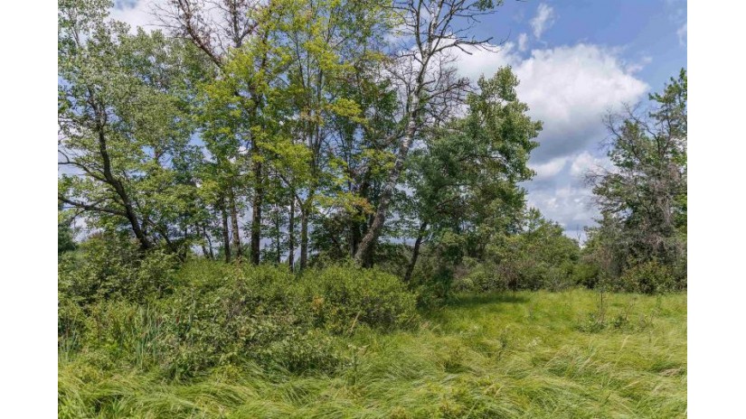 39.74AC County Road J Richfield, WI 53934 by Robinson Realty Company - Pref: 608-369-0884 $180,000