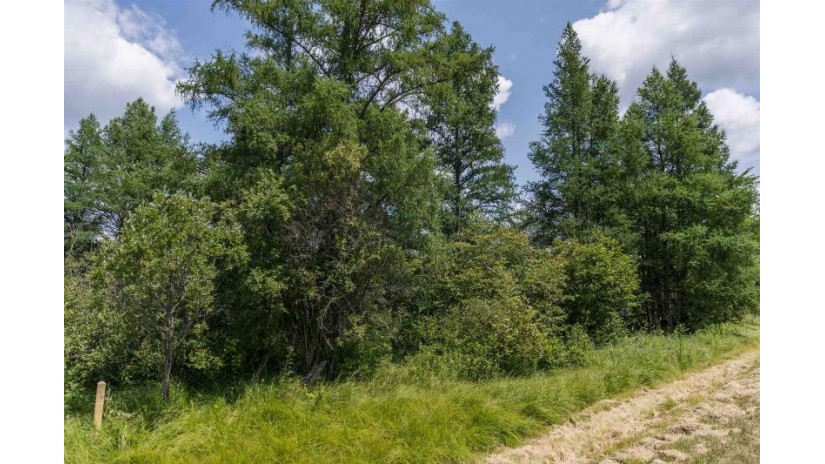 39.74AC County Road J Richfield, WI 53934 by Robinson Realty Company - Pref: 608-369-0884 $180,000