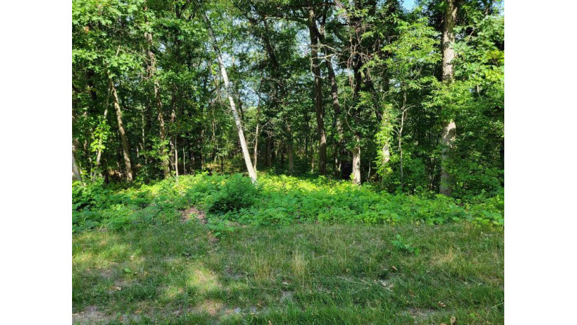 L9 St Lawrence Bluff Road Dekorra, WI 53955 by Re/Max Preferred - scott@scottelert.com $72,000