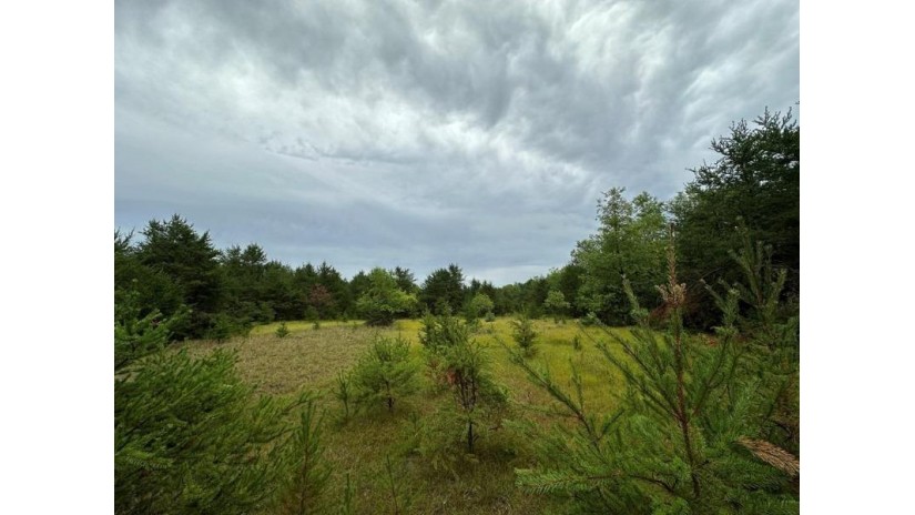 80+/- ACRES Highway 14 Spring Green, WI 53588 by Weiss Realty Llc $499,000