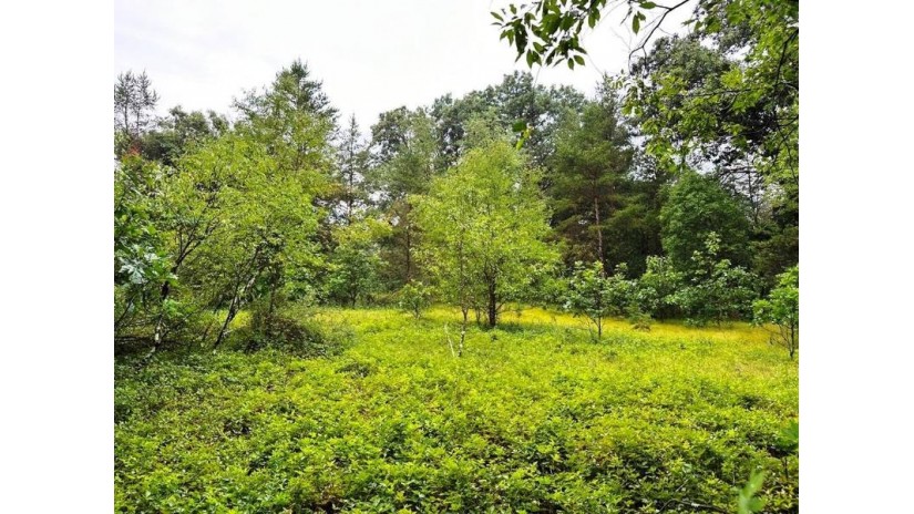 80+/- ACRES Highway 14 Spring Green, WI 53588 by Weiss Realty Llc $499,000