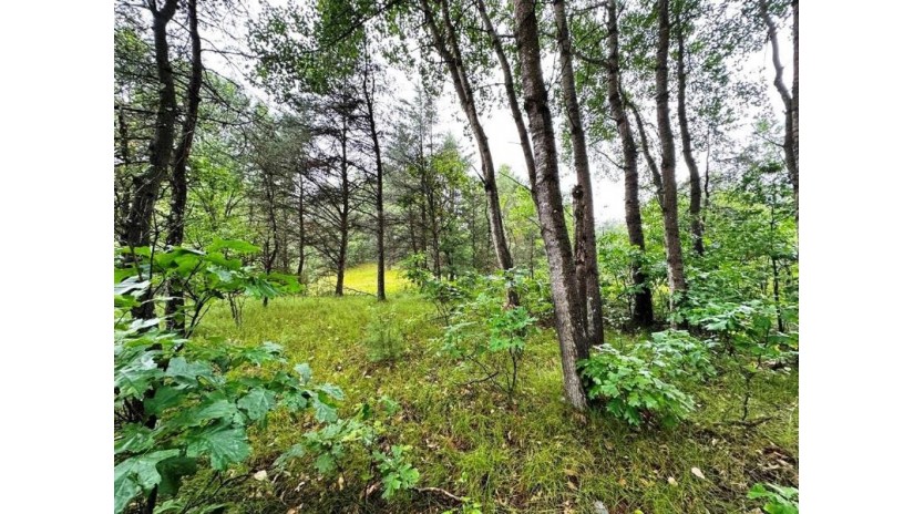 80+/- ACRES Highway 14 Spring Green, WI 53588 by Weiss Realty Llc $499,000