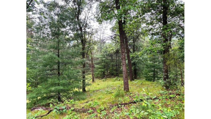 80+/- ACRES Highway 14 Spring Green, WI 53588 by Weiss Realty Llc $499,000