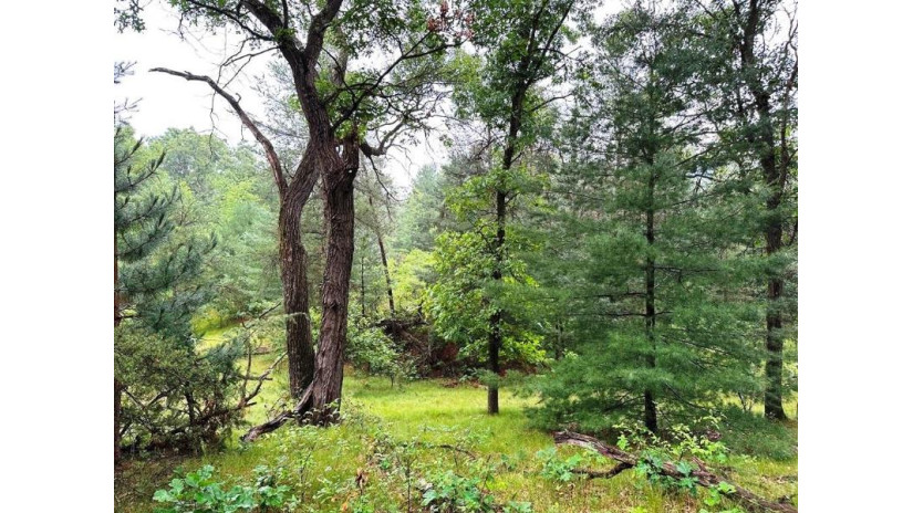 80+/- ACRES Highway 14 Spring Green, WI 53588 by Weiss Realty Llc $499,000