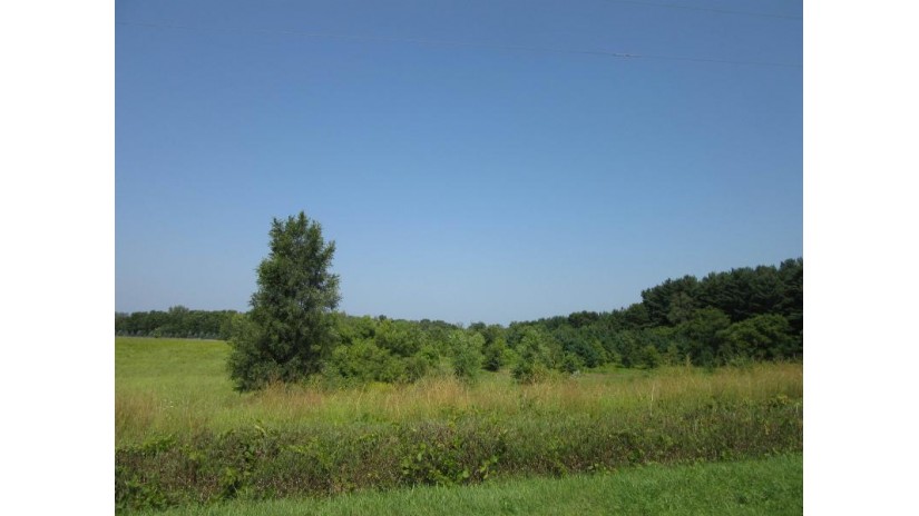 19.29 AC Domes Road Doylestown, WI 53960 by Century 21 Affiliated $270,060