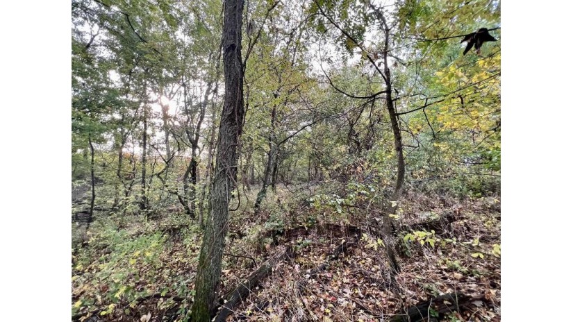 LOT 1 Burr Oak Lane Washington, WI 53570 by First Weber Hedeman Group - Off: 608-325-2000 $124,900