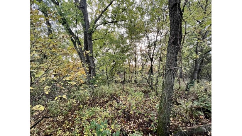 LOT 1 Burr Oak Lane Washington, WI 53570 by First Weber Hedeman Group - Off: 608-325-2000 $124,900