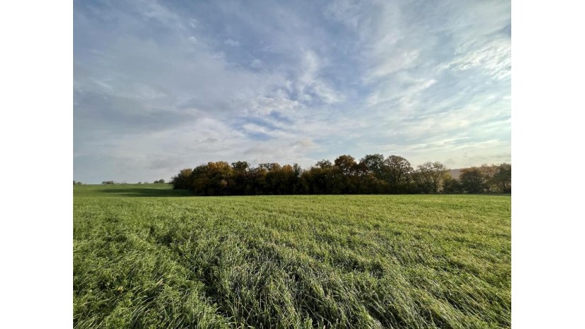 LOT 1 Burr Oak Lane Washington, WI 53570 by First Weber Hedeman Group - Off: 608-325-2000 $124,900