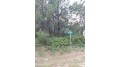 LOT 21 N Duck Creek Court Adams, WI 53910 by Exp Realty, Llc - Pref: 262-424-5915 $34,900