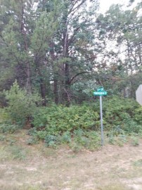 LOT 21 N Duck Creek Court, Adams, WI 53910