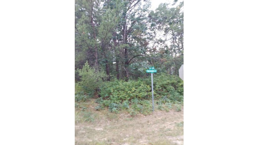 LOT 21 N Duck Creek Court Adams, WI 53910 by Exp Realty, Llc - Pref: 262-424-5915 $34,900