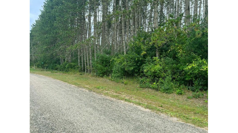 LOT 8 W 10th Drive Adams, WI 53934 by Pavelec Realty - Off: 608-339-3388 $16,900