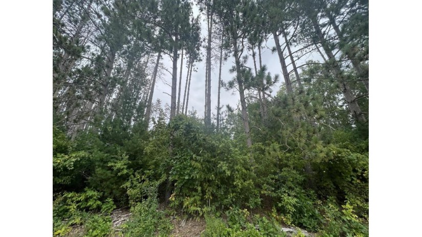 LOT 8 W 10th Drive Adams, WI 53934 by Pavelec Realty - Off: 608-339-3388 $16,900