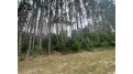 LOT 8 W 10th Drive Adams, WI 53934 by Pavelec Realty - Off: 608-339-3388 $16,900