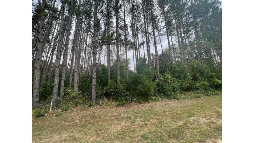 LOT 8 W 10th Drive Adams, WI 53934 by Pavelec Realty - Off: 608-339-3388 $16,900