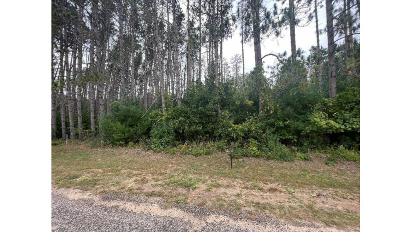 LOT 8 W 10th Drive Adams, WI 53934 by Pavelec Realty - Off: 608-339-3388 $16,900