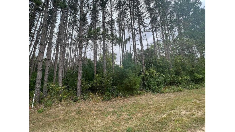 LOT 8 W 10th Drive Adams, WI 53934 by Pavelec Realty - Off: 608-339-3388 $16,900