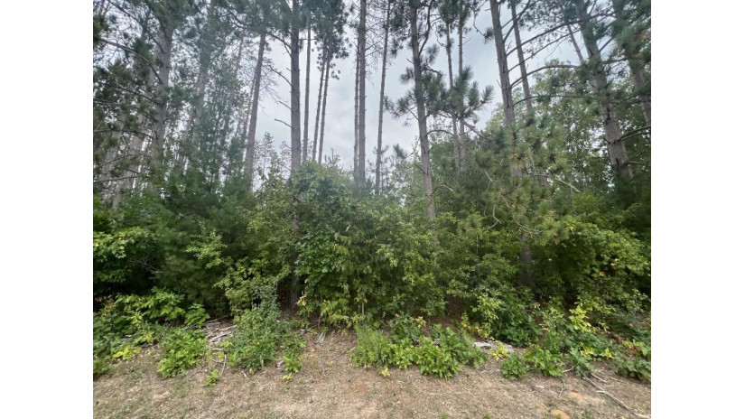 LOT 8 W 10th Drive Adams, WI 53934 by Pavelec Realty - Off: 608-339-3388 $16,900