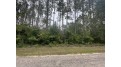 LOT 8 W 10th Drive Adams, WI 53934 by Pavelec Realty - Off: 608-339-3388 $16,900