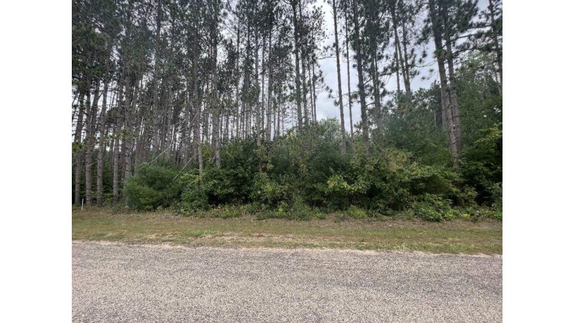 LOT 8 W 10th Drive Adams, WI 53934 by Pavelec Realty - Off: 608-339-3388 $16,900