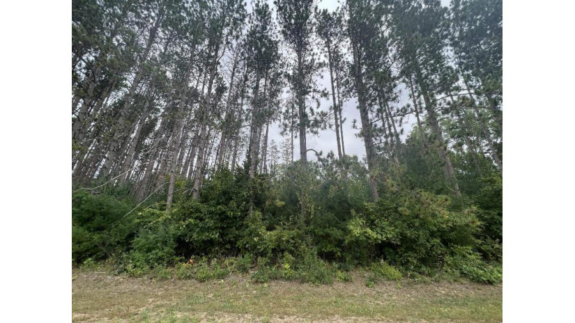 LOT 8 W 10th Drive Adams, WI 53934 by Pavelec Realty - Off: 608-339-3388 $16,900