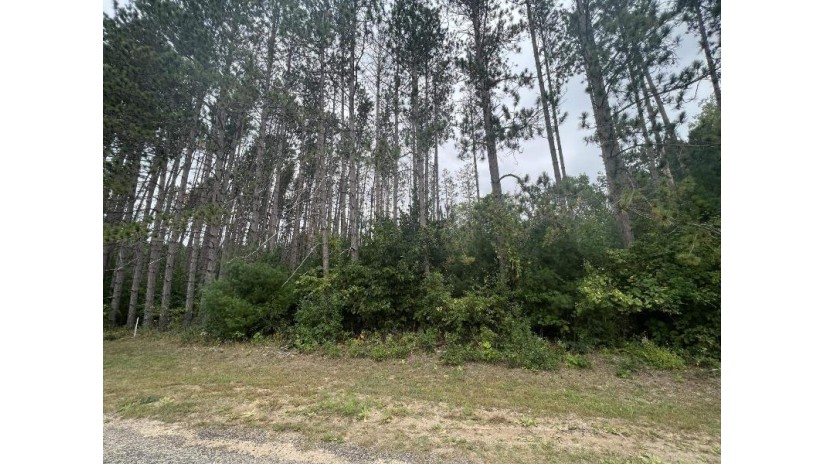 LOT 8 W 10th Drive Adams, WI 53934 by Pavelec Realty - Off: 608-339-3388 $16,900