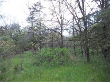 N4327 County Road Hh, Marion, WI 53948-9518