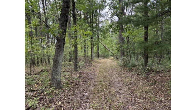 115.5 AC Highway 23 Mecan, WI 54968 by United Country Midwest Lifestyle Properties $450,000