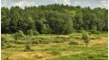 115.5 AC Highway 23 Mecan, WI 54968 by United Country Midwest Lifestyle Properties $450,000