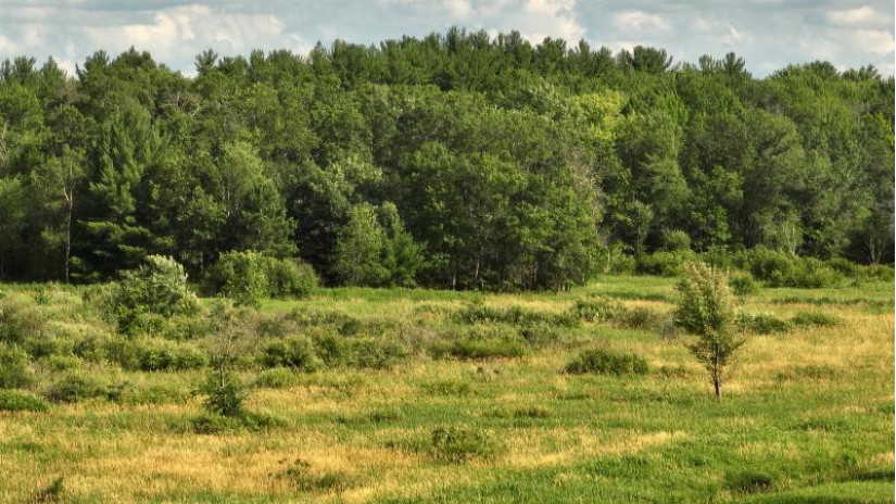 115.5 AC Highway 23 Mecan, WI 54968 by United Country Midwest Lifestyle Properties $450,000