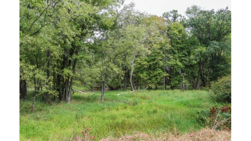 W1198 Highway 23 Mecan, WI 54968 by United Country Midwest Lifestyle Properties $775,000