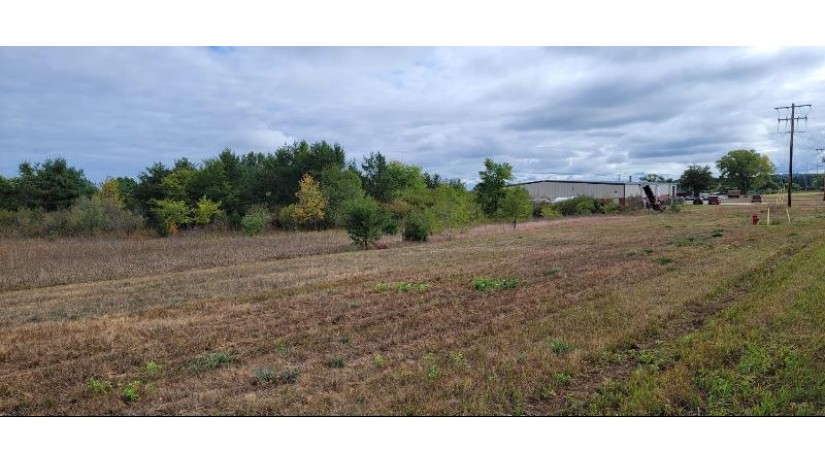 00 Granite & Academy (county Ca) Avenue Tomah, WI 54660 by First Weber Inc - HomeInfo@firstweber.com $400,000