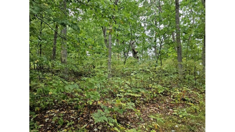 LOT 13 2nd Court Jackson, WI 53952 by Coldwell Banker Advantage Llc - Off: 715-325-7335 $55,000