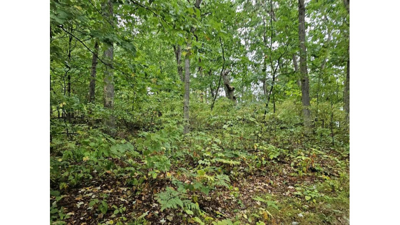 LOT 13 2nd Court Jackson, WI 53952 by Coldwell Banker Advantage Llc - Off: 715-325-7335 $55,000