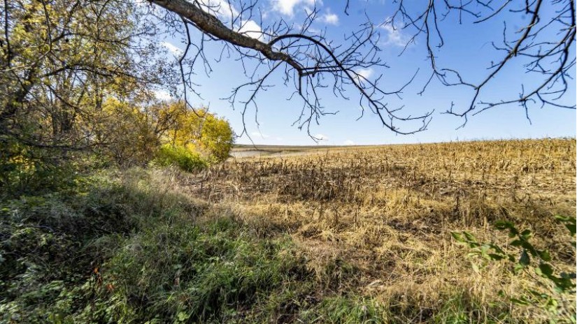+/-70 ACRES Bee Lane South Lancaster, WI 53813 by First Weber Inc - HomeInfo@firstweber.com $490,000