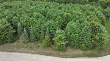 LOT #4 Sandy Pines Court, Redgranite, WI 54970