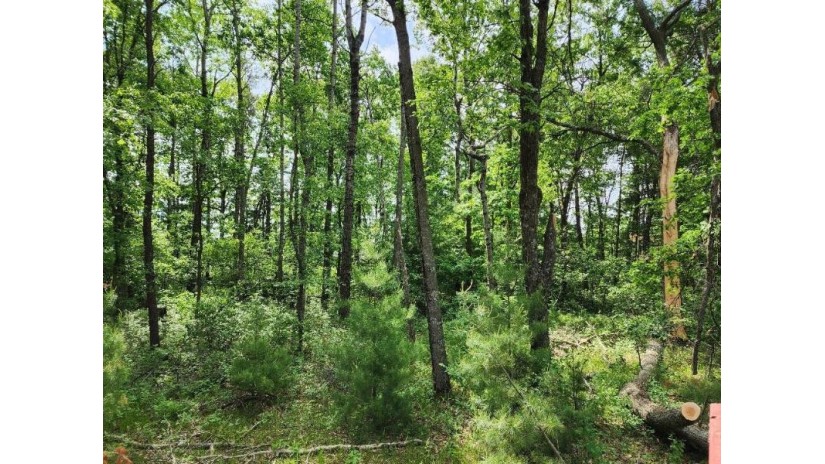 LOT 11 W 17th Drive Monroe, WI 54613 by Pavelec Realty - Off: 608-339-3388 $24,900