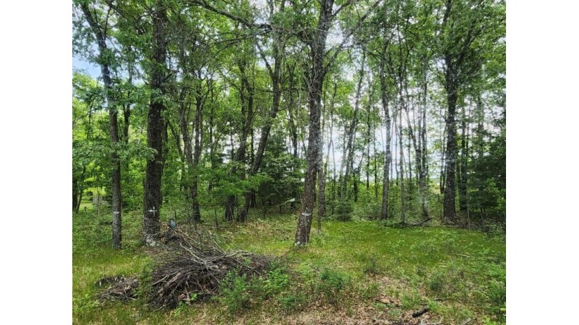 LOT 11 W 17th Drive Monroe, WI 54613 by Pavelec Realty - Off: 608-339-3388 $24,900