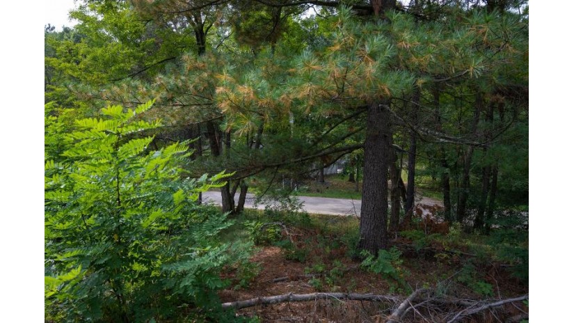 LOT 9 Yellow Thunder Trail Delton, WI 53913 by Castle Rock Realty Llc - Pref: 608-350-9478 $40,000