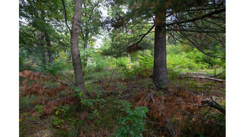 LOT 9 Yellow Thunder Trail Delton, WI 53913 by Castle Rock Realty Llc - Pref: 608-350-9478 $40,000