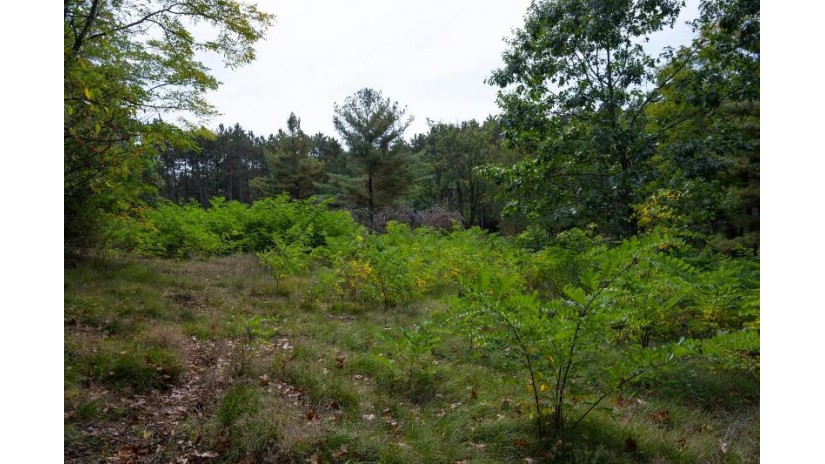 LOT 9 Yellow Thunder Trail Delton, WI 53913 by Castle Rock Realty Llc - Pref: 608-350-9478 $40,000