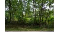 LOT 9 Yellow Thunder Trail Delton, WI 53913 by Castle Rock Realty Llc - Pref: 608-350-9478 $40,000