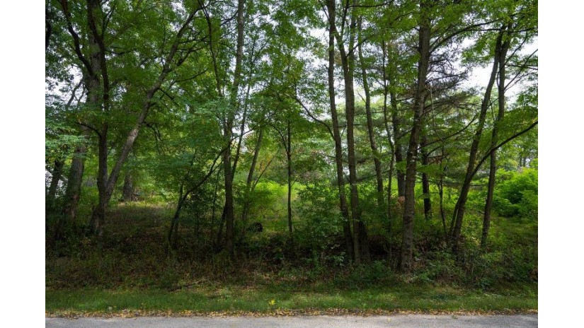 LOT 9 Yellow Thunder Trail Delton, WI 53913 by Castle Rock Realty Llc - Pref: 608-350-9478 $40,000