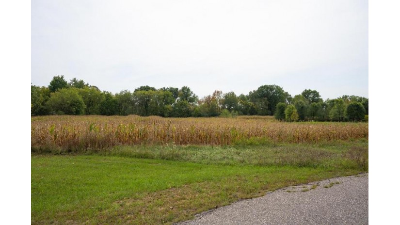 4.10AC Birdie Drive Lisbon, WI 53948 by Castle Rock Realty Llc - Pref: 608-547-5461 $36,500