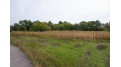 4.10AC Birdie Drive Lisbon, WI 53948 by Castle Rock Realty Llc - Pref: 608-547-5461 $36,500