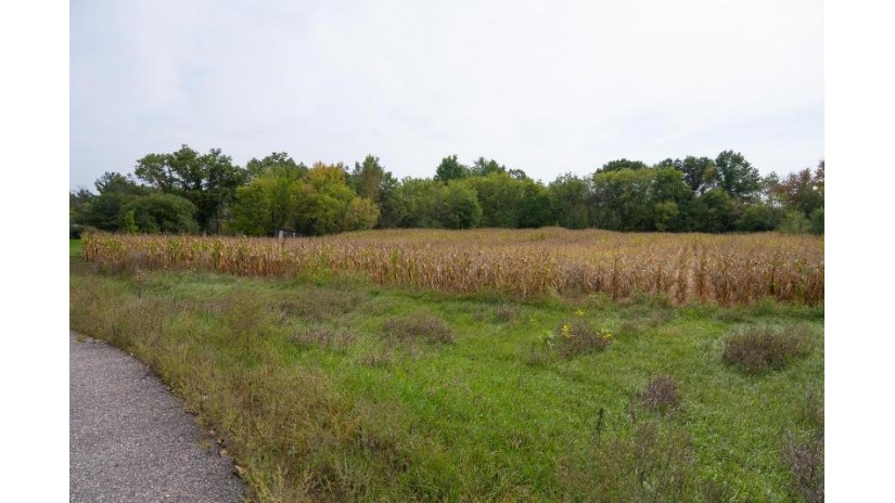 4.10AC Birdie Drive Lisbon, WI 53948 by Castle Rock Realty Llc - Pref: 608-547-5461 $36,500