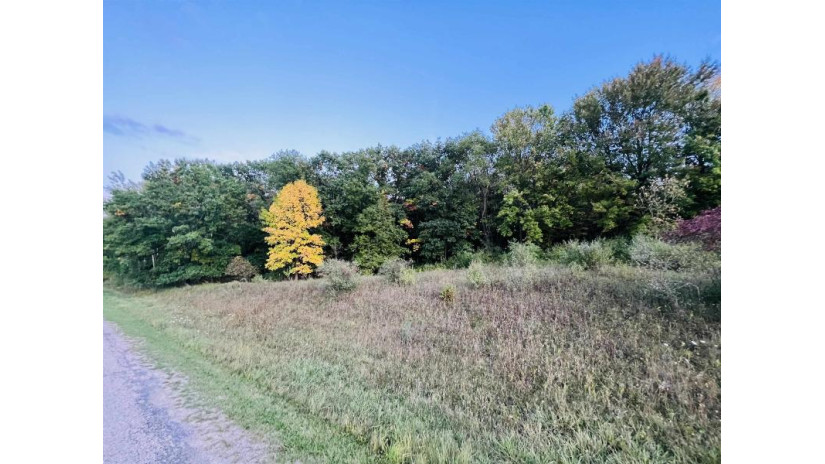 L171 Black Forest Drive Woodland, WI 53941 by Re/Max Preferred - Pref: 608-338-0757 $9,999