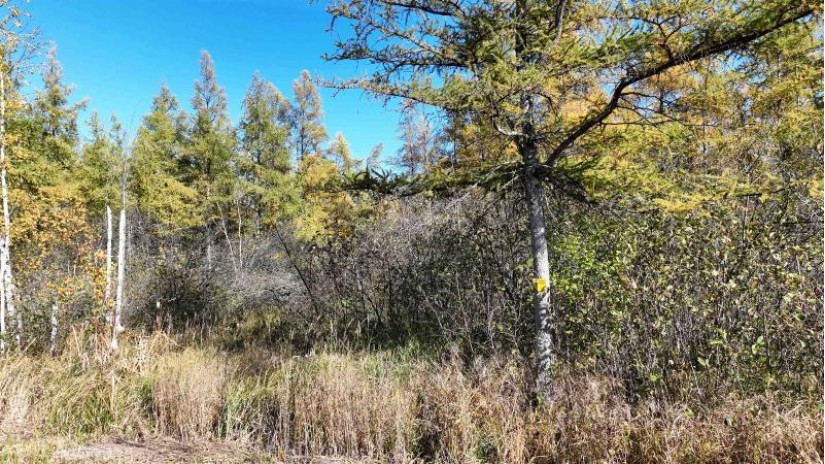 40ACRES MOL Dicus Road Grant, WI 54848 by Cotter Realty Llc $80,000